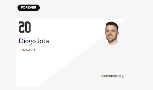 FORWARDS—FOREVER！ 利物浦官网阵容名单为若塔设单项